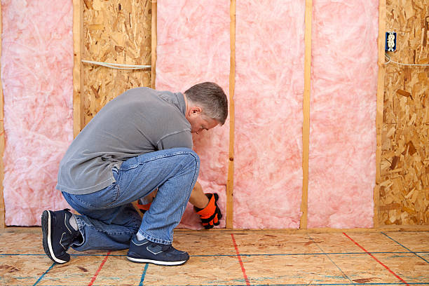 Best Types of Insulation in Schertz, TX